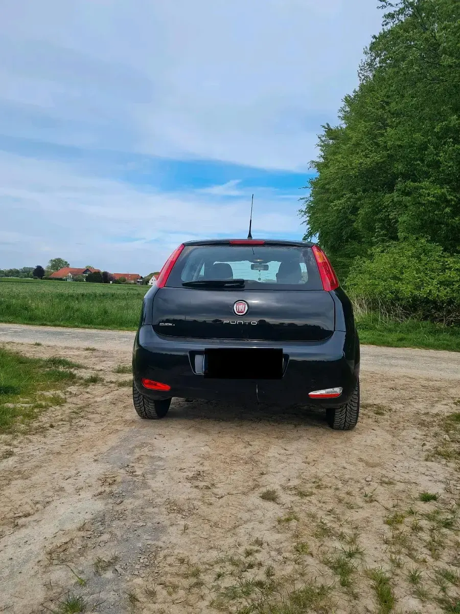 Gebraucht Fiat Punto 69 PS (50 kW) 2017 Schwarz Kleinwagen
