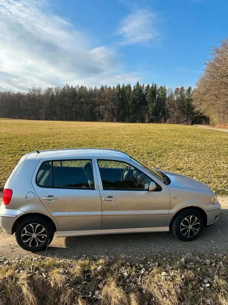 Usata VW Polo 60 CV (44 kW) 2001 Argento Utilitaria