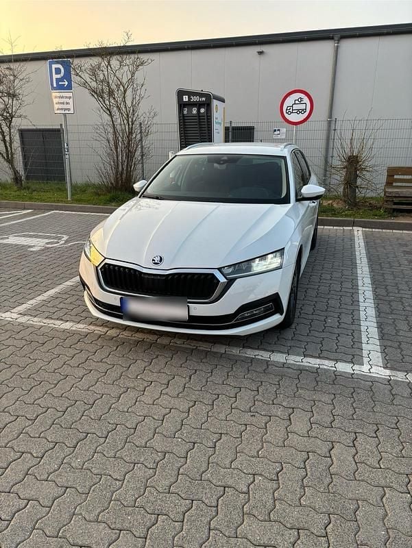 Gebraucht Skoda Octavia 150 PS (110 kW) 2022 Weiß Kombi