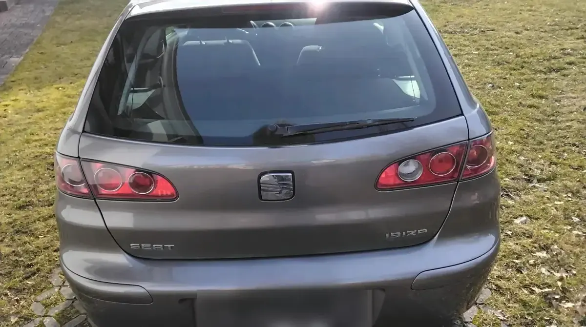 Gebraucht Seat Ibiza 75 PS (55 kW) 2005 Grau Kleinwagen