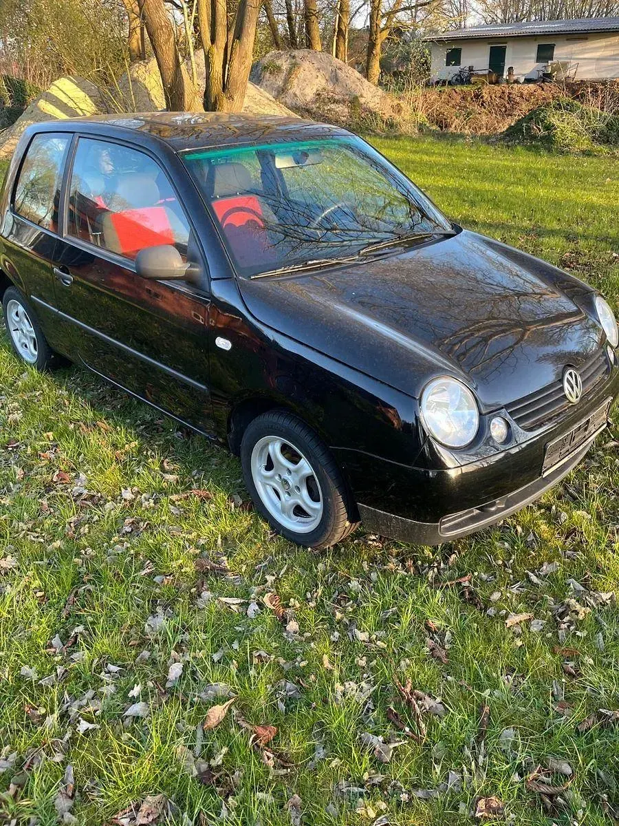 Gebraucht VW Lupo Basis 50 PS (36 kW) 1999 Schwarz Kleinwagen