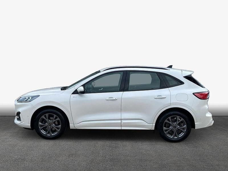Gebraucht Ford Kuga ST-Line 150 PS (110 kW) 2023 White platinum SUV