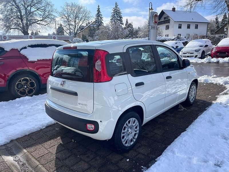 Neu Fiat Panda 65 PS (47 kW) 2026 Weiß Kleinwagen