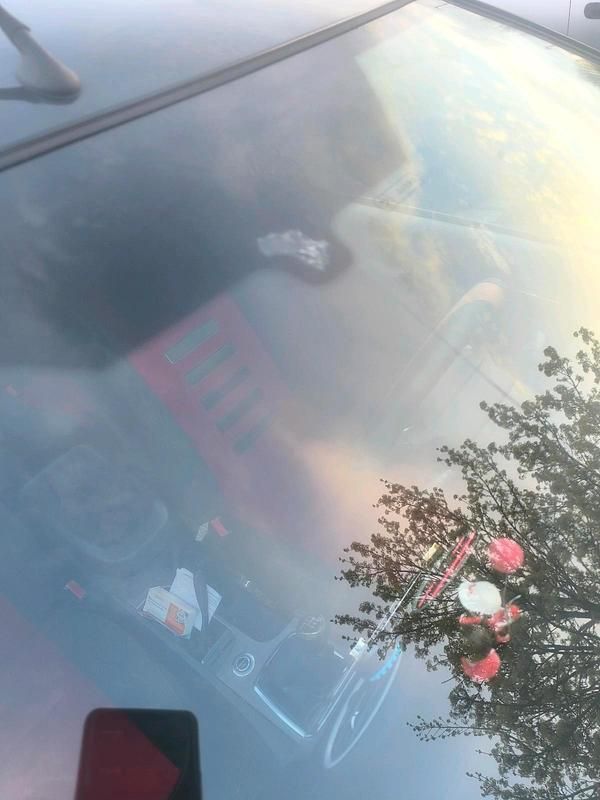 Usata Ford Focus 116 CV (85 kW) 2009 Nero Utilitaria