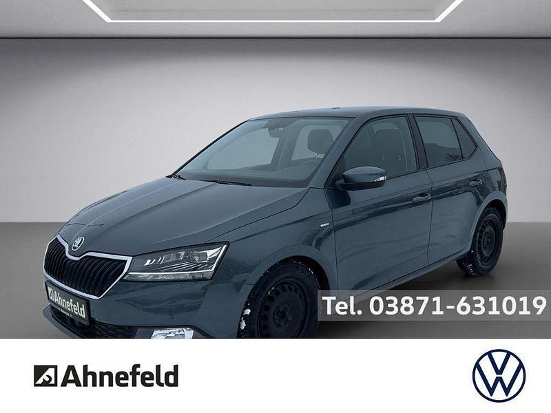 Gebraucht Skoda Fabia Best of 95 PS (69 kW) 2021 Grau Kleinwagen