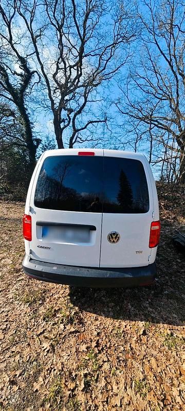 Second-hand VW T6 102 CP (75 kW) 2016 Alb Van