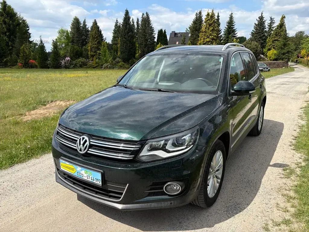 Gebraucht VW Tiguan Sportline 160 PS (117 kW) 2014 Grün SUV