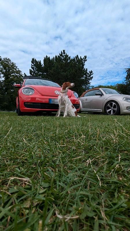 Gebraucht VW Beetle 160 PS (117 kW) 2013 Rot Kleinwagen