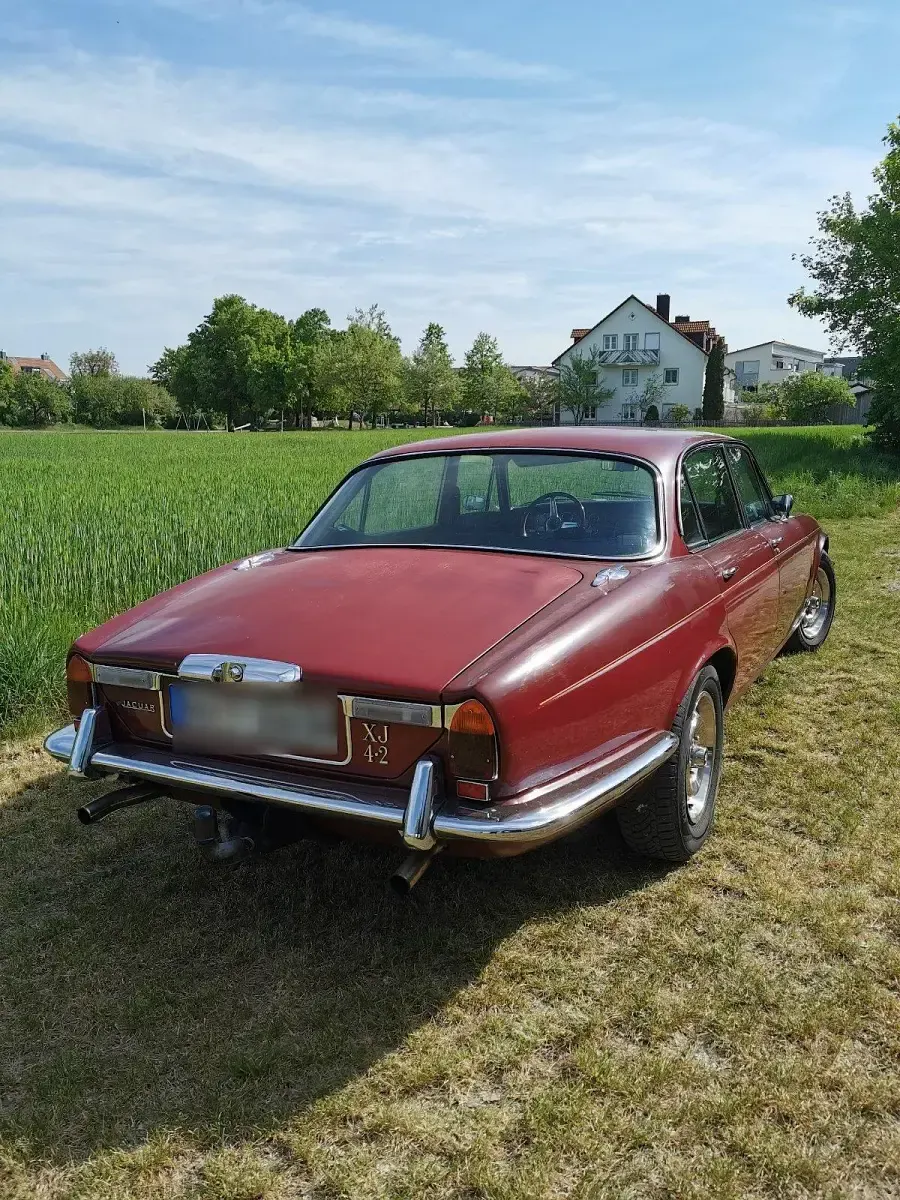 Gebraucht Jaguar XJ6 172 PS (126 kW) 1979 Rot Limousine
