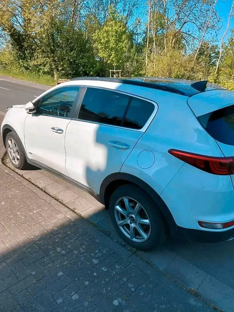 Gebraucht Kia Sportage 185 PS (136 kW) 2017 Weiß SUV