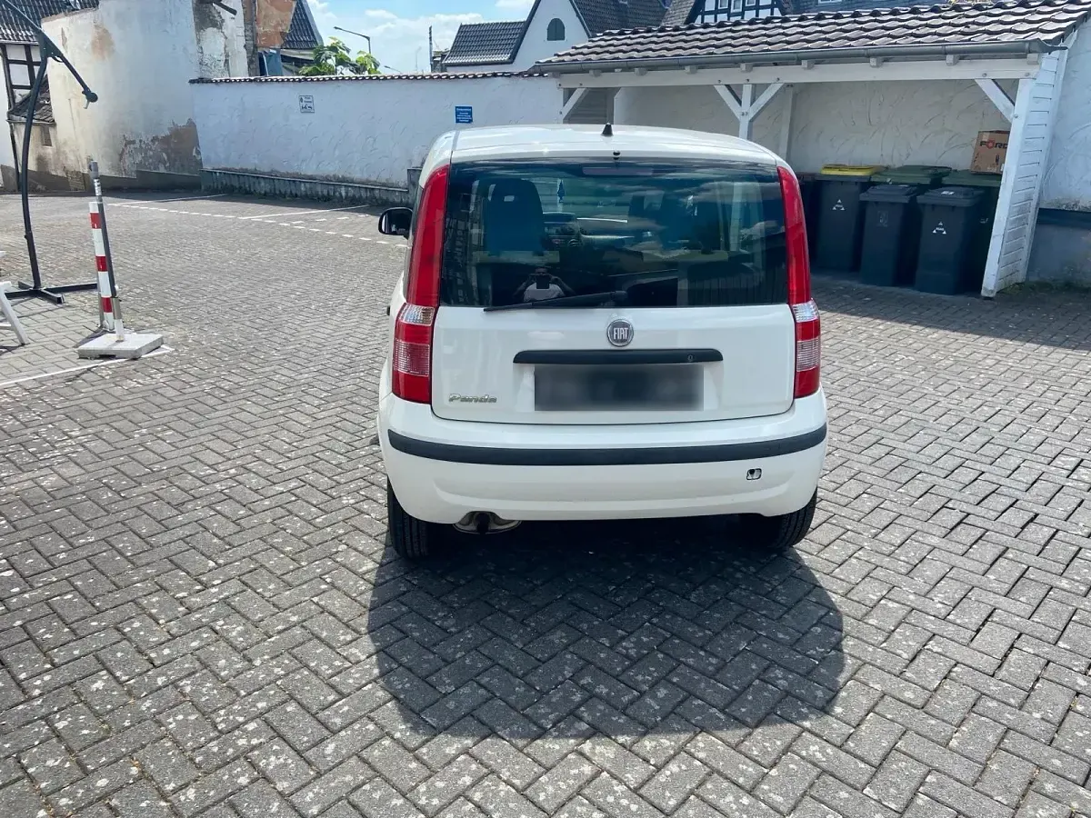 Gebraucht Fiat Panda 69 PS (50 kW) 2011 Weiß Kleinwagen