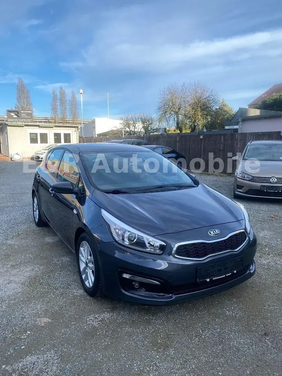 Gebraucht Kia Ceed Edition 7 99 PS (72 kW) 2017 Kleinwagen