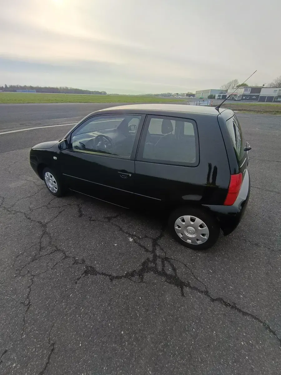 Gebraucht VW Lupo 50 PS (36 kW) 2005 Kleinwagen