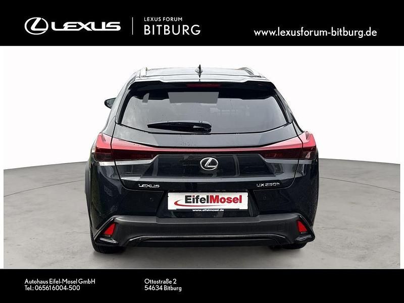 Gebraucht Lexus UX 250h Sport Line 184 PS (135 kW) 2023 Graphite black (metallic) SUV