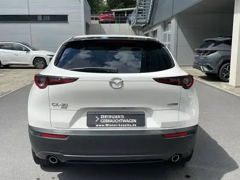 Gebraucht Mazda CX-30 Selection 122 PS (89 kW) 2019 Weiß SUV