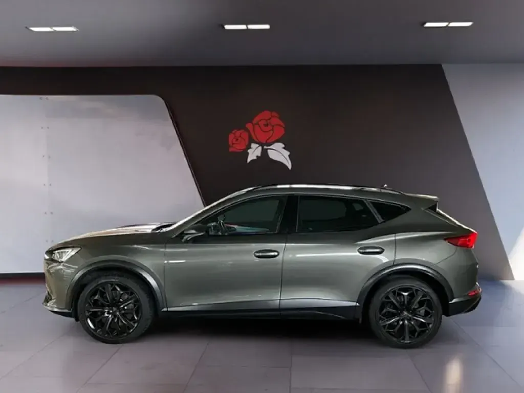 Gebraucht Cupra Formentor 245 PS (180 kW) 2024 Cliffgrau (metallic) SUV