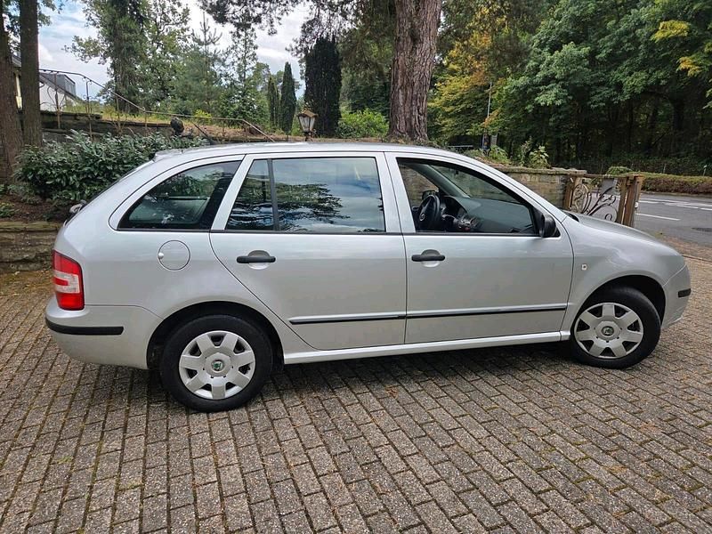 Gebraucht Skoda Fabia 69 PS (50 kW) 2006 Grau Kleinwagen