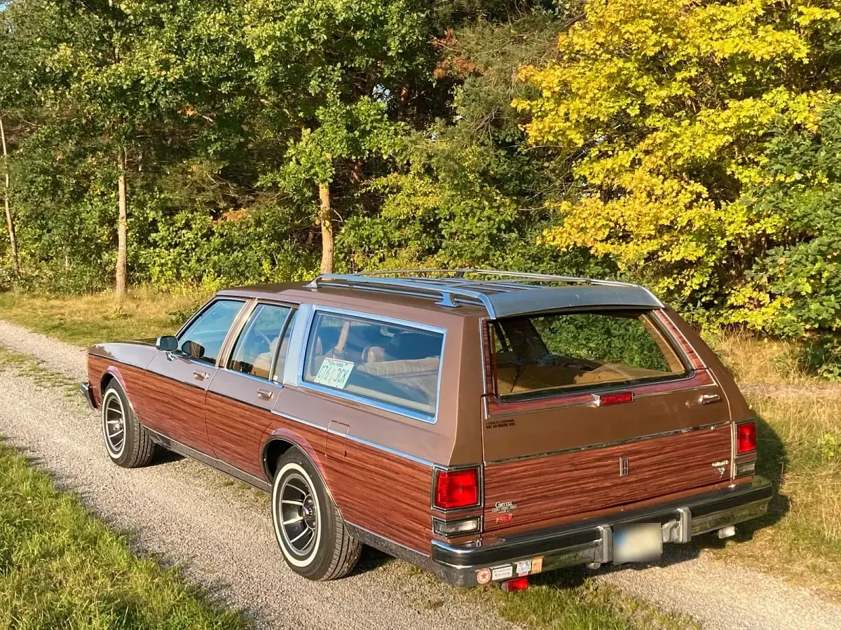Gebraucht Oldsmobile Custom Cruiser 141 PS (103 kW) 1989 Beige Kombi