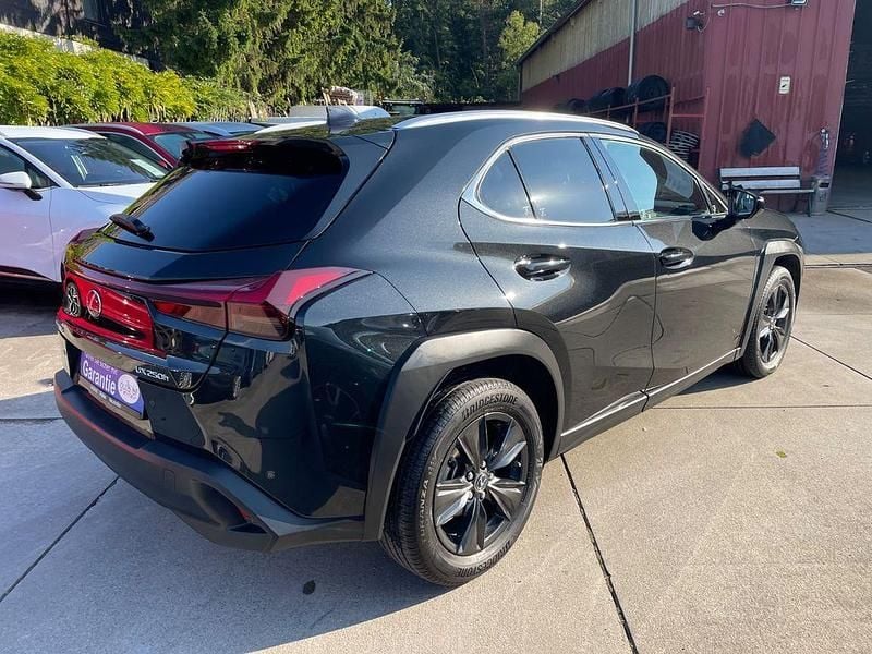 Gebraucht Lexus UX 250h 184 PS (135 kW) 2023 Graphite black SUV