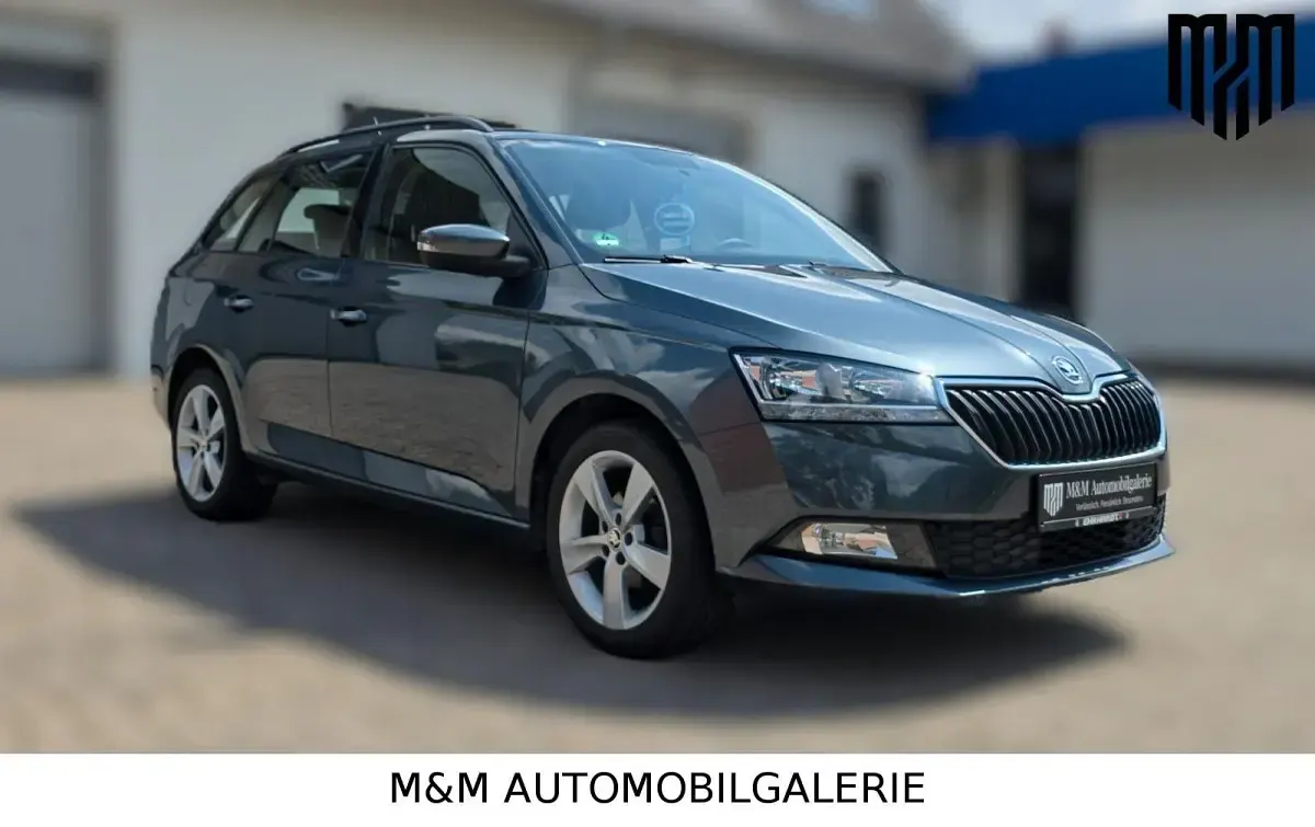 Gebraucht Skoda Fabia Cool Plus 95 PS (69 kW) 2020 Grau Kleinwagen