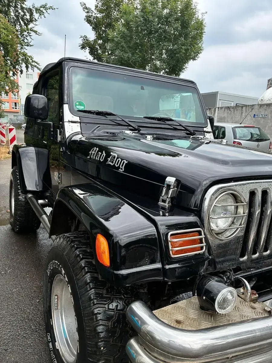 Gebraucht Jeep Wrangler Sahara 177 PS (130 kW) 1998 Schwarz SUV