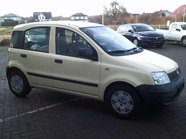 Gebraucht Fiat Panda Active 54 PS (39 kW) 2010 Kleinwagen