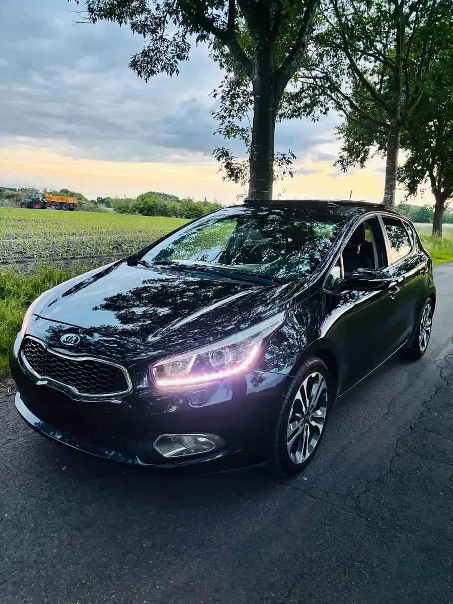 Gebraucht Kia Ceed 128 PS (94 kW) 2014 Schwarz Kleinwagen