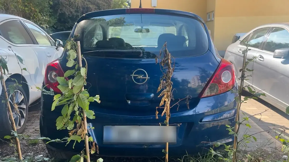 Gebraucht Opel Corsa 82 PS (60 kW) 2009 Blau Kleinwagen