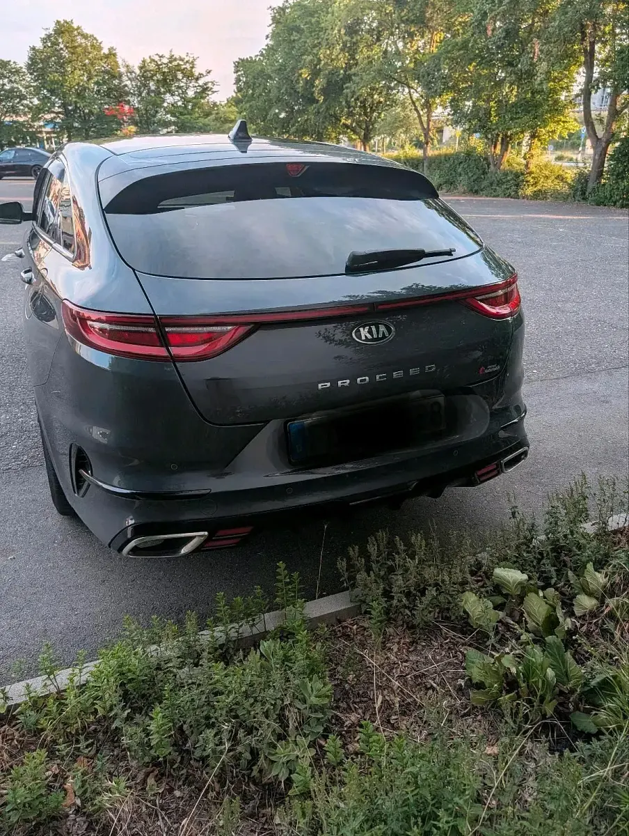 Gebraucht Kia ProCeed 204 PS (150 kW) 2021 Grau Kombi