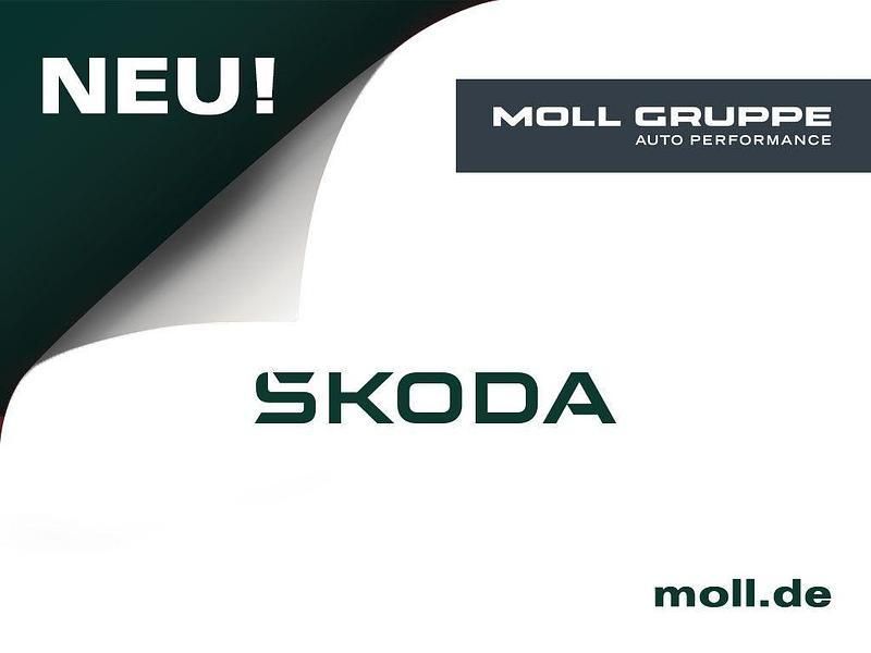 Weiß Neu 2025 Skoda Karoq Selection SUV | 38.690 € (Etwas zu teuer) - Bild 1/1