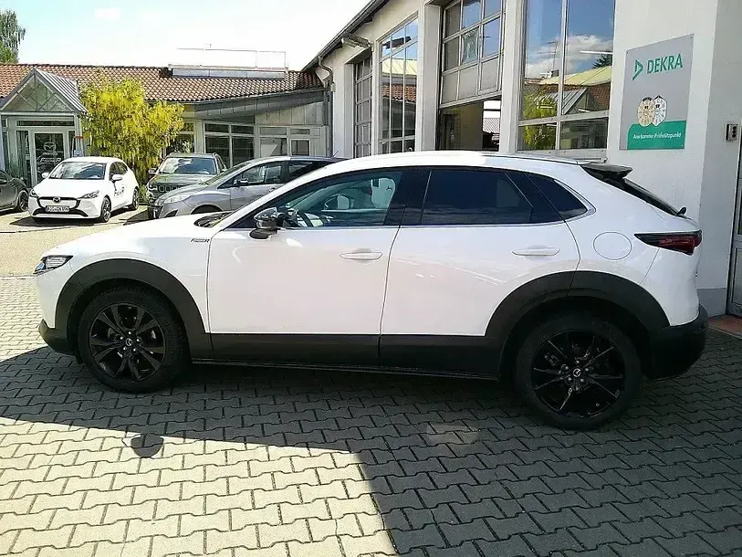 Gebraucht Mazda CX-30 Homura-Line 150 PS (110 kW) 2023 Weiss SUV