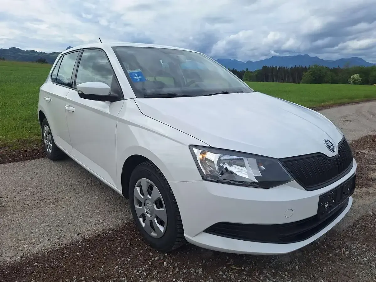 Gebraucht Skoda Fabia Active 90 PS (66 kW) 2017 Candyweiss Kleinwagen
