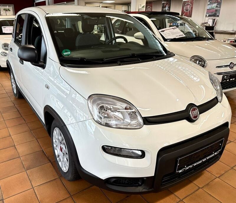 Gebraucht Fiat Panda 69 PS (50 kW) 2023 Weiß Kleinwagen