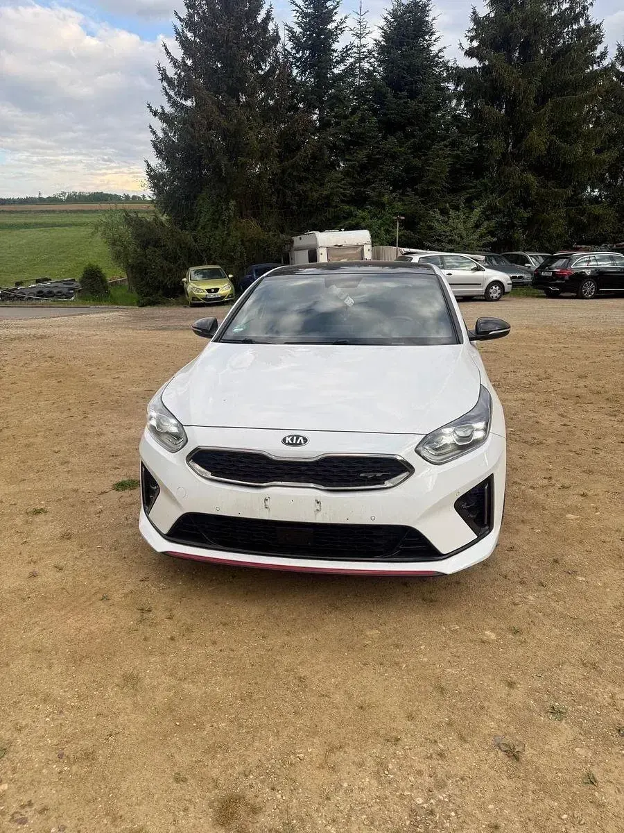 Gebraucht Kia ProCeed GT 204 PS (150 kW) 2019 Weiß Kombi