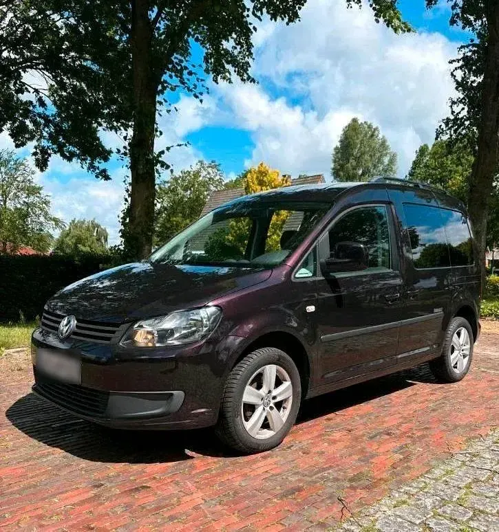 Gebraucht VW Caddy Maxi 105 PS (77 kW) 2012 Violet Van / Kleinbus