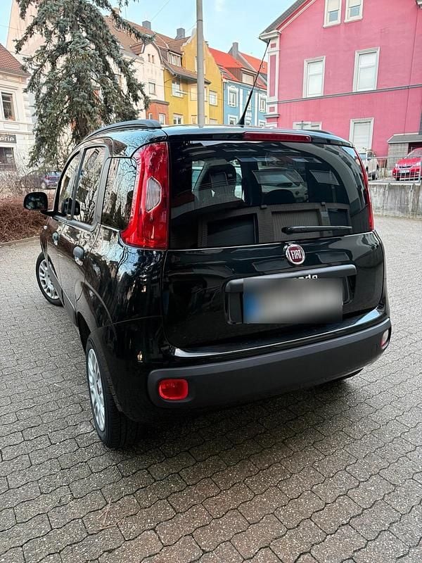 Gebraucht Fiat Panda Easy 69 PS (50 kW) 2020 Schwarz Kleinwagen