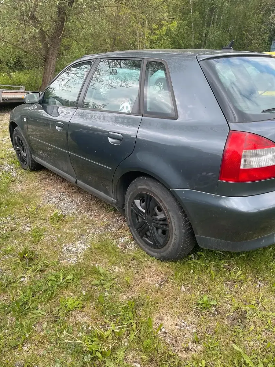 Gebraucht Audi A3 102 PS (75 kW) 2003 Grün Kleinwagen