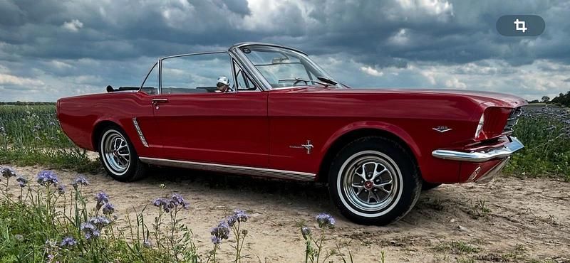 Gebraucht Ford Mustang 200 PS (147 kW) 1964 Rot Cabrio
