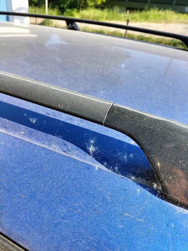 Blau Gebraucht 1997 Toyota Carina E Kombi | 1.500 € - Bild 1/4