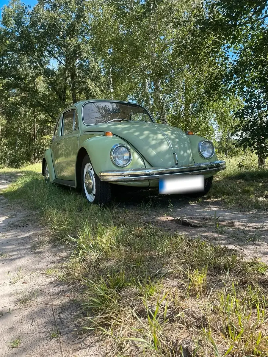 Gebraucht VW Käfer 34 PS (25 kW) 1969 Kleinwagen