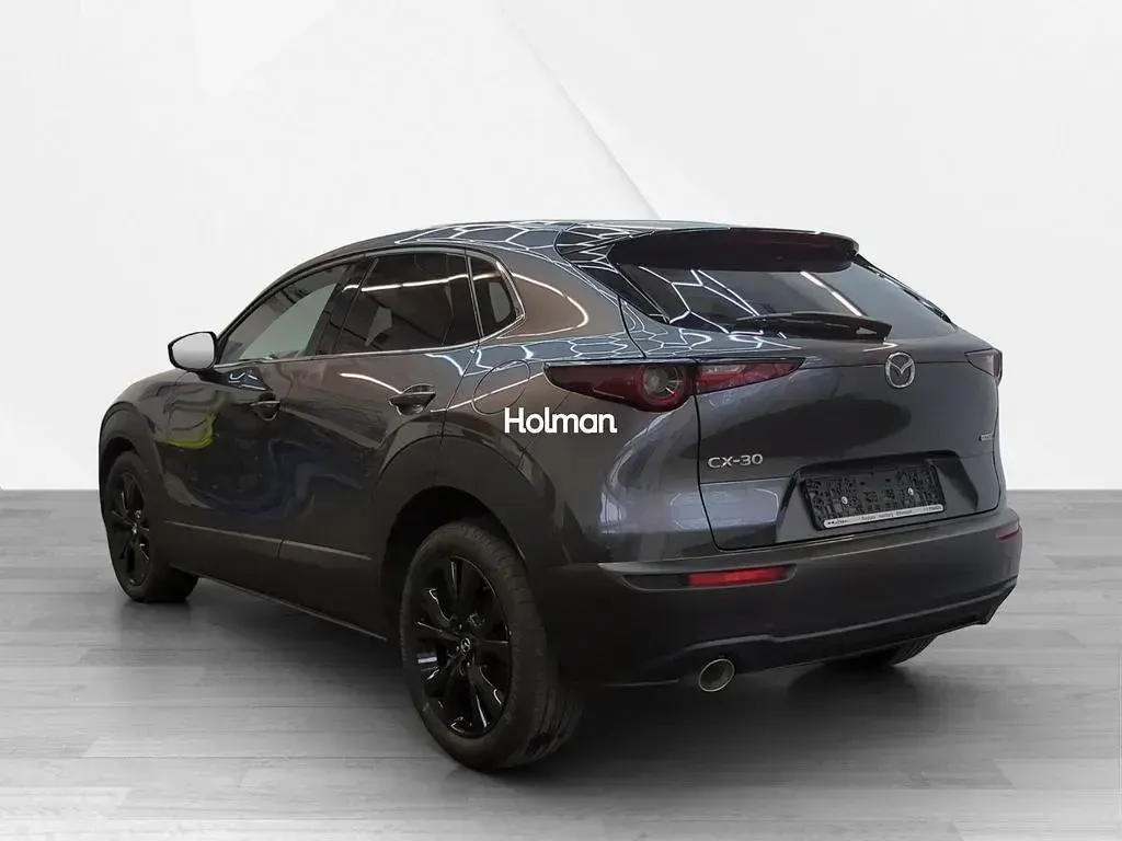 Gebraucht Mazda CX-30 Homura-Line 186 PS (136 kW) 2024 Grau SUV