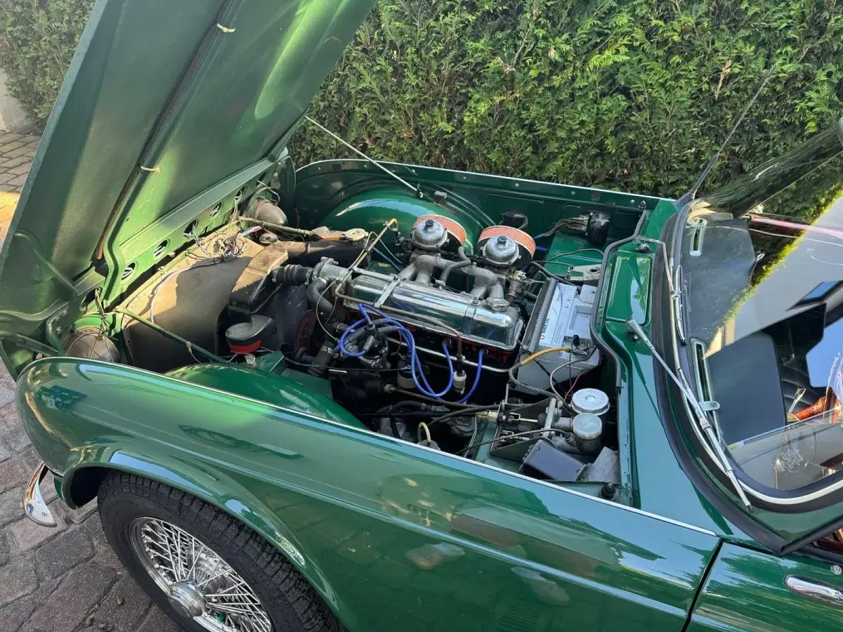 Gebraucht Triumph TR4 133 PS (97 kW) 1964 Grün Cabrio