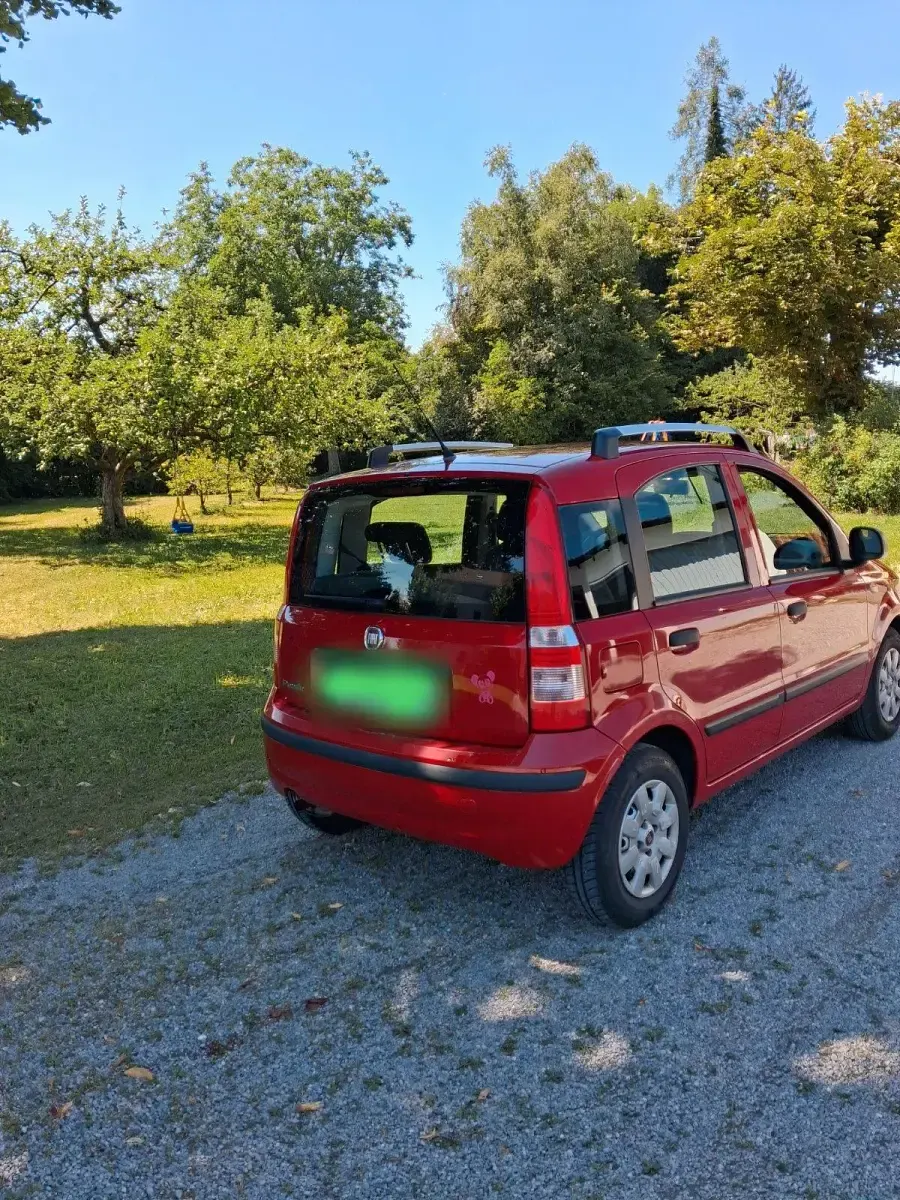 Gebraucht Fiat Panda 69 PS (50 kW) 2012 Rot Kleinwagen