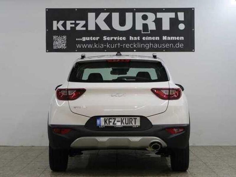 Neu Kia Stonic 79 PS (58 kW) 2025 Weiß SUV