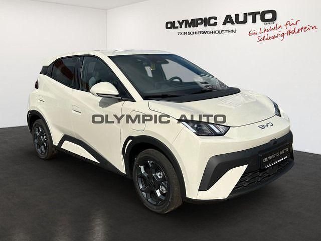 Gebraucht BYD Dolphin Surf Comfort 60 kW (82 PS) 2025 Apricity white Kleinwagen