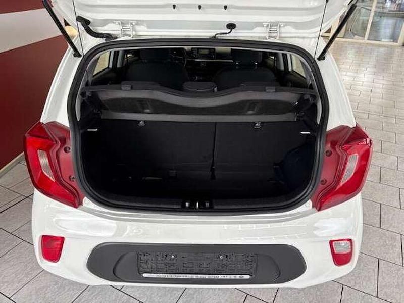 Gebraucht Kia Picanto Edition 7 67 PS (49 kW) 2018 (ud) schneeweiss Kleinwagen