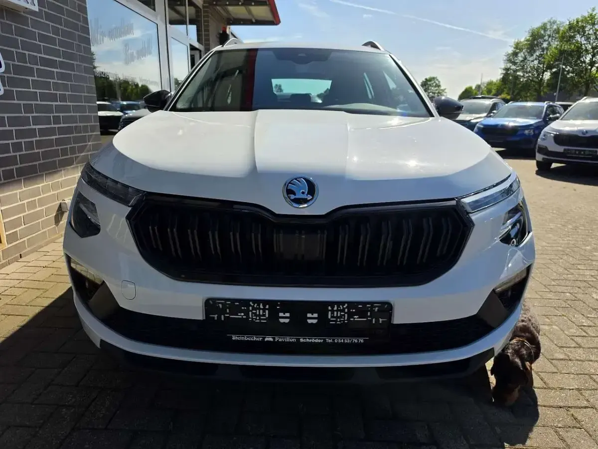 Gebraucht Skoda Kamiq Selection 116 PS (85 kW) 2025 Moonweiß metallic SUV