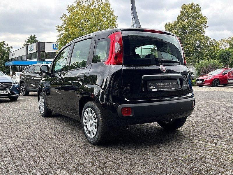 Neu Fiat Panda 69 PS (50 kW) 2025 Cinema schwarz Kleinwagen