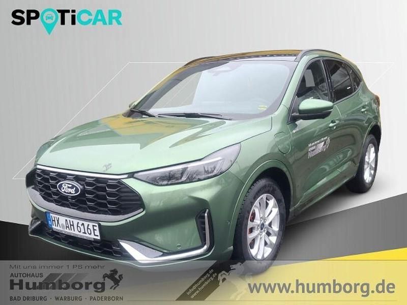 Gruen Gebraucht 2024 Ford Kuga ST-Line X SUV | 39.560 € (Fairer Preis) - Bild 1/4