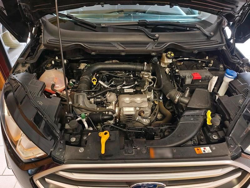 Gebraucht Ford Focus Sport 125 PS (91 kW) 2018 Schwarz SUV